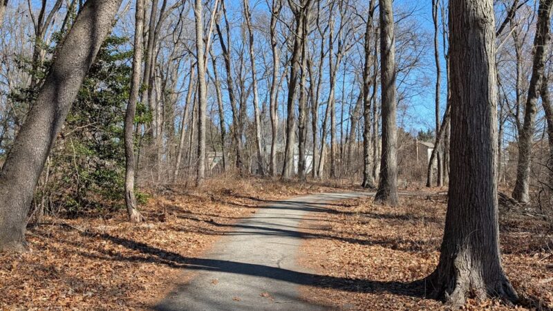 Broad Run Park - Downingtown, PA