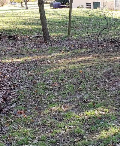 Spatola Park - Downingtown, PA