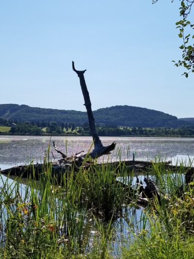 Dryden Lake Park - Dryden, NY