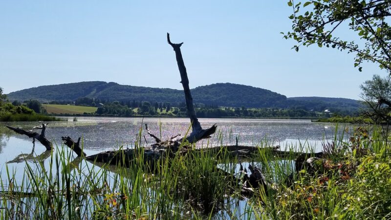 Dryden Lake Park - Dryden, NY