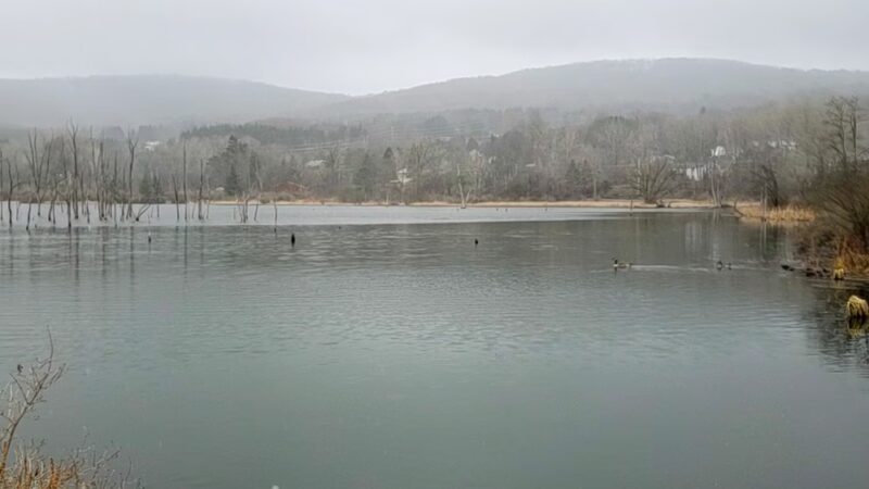 Dryden Lake Park - Dryden, NY