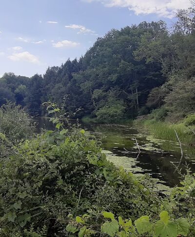 Jim Schug Trail - Dryden, NY