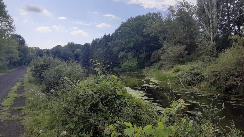 Jim Schug Trail - Dryden, NY