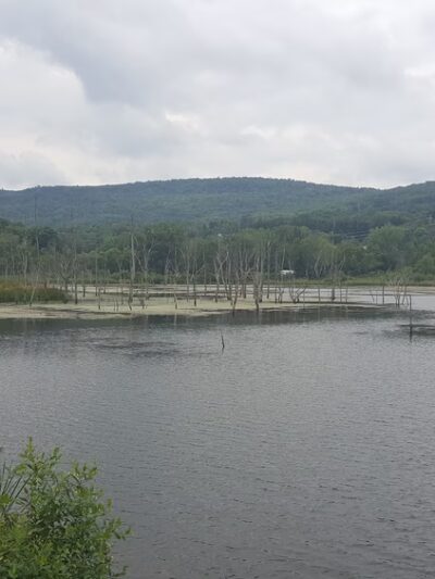 Jim Schug Trail - Dryden, NY