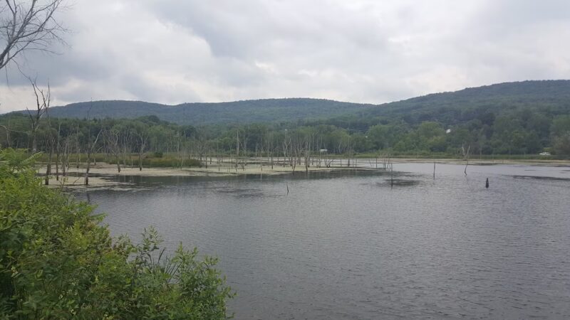 Jim Schug Trail - Dryden, NY