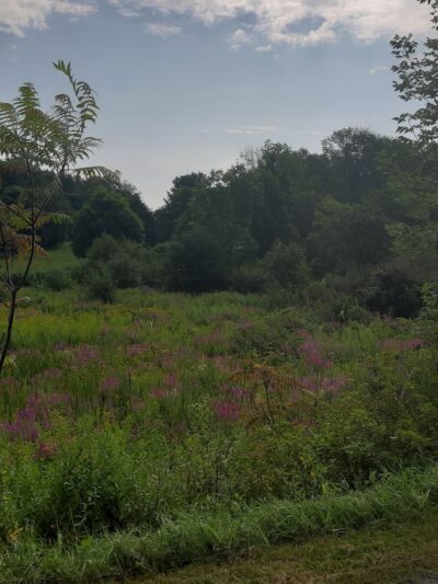 Jim Schug Trail - Dryden, NY