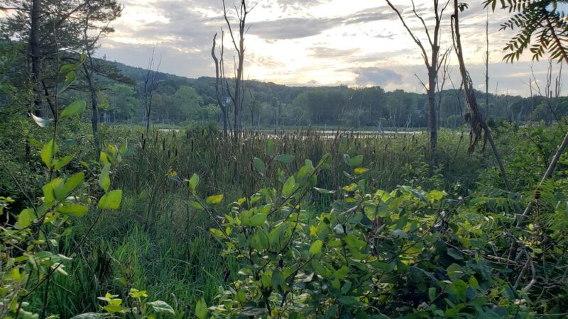 Jim Schug Trail - Dryden, NY