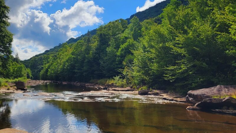 Red Creek Trailhead - Dryfork, WV