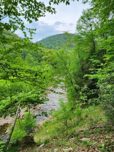 Red Creek Trailhead - Dryfork, WV