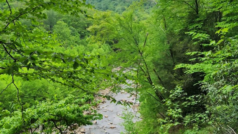 Red Creek Trailhead - Dryfork, WV