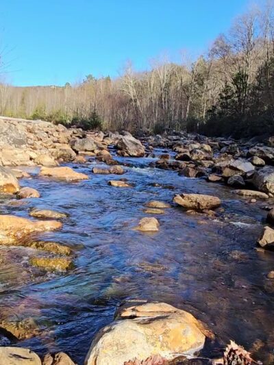 Red Creek Trailhead - Dryfork, WV