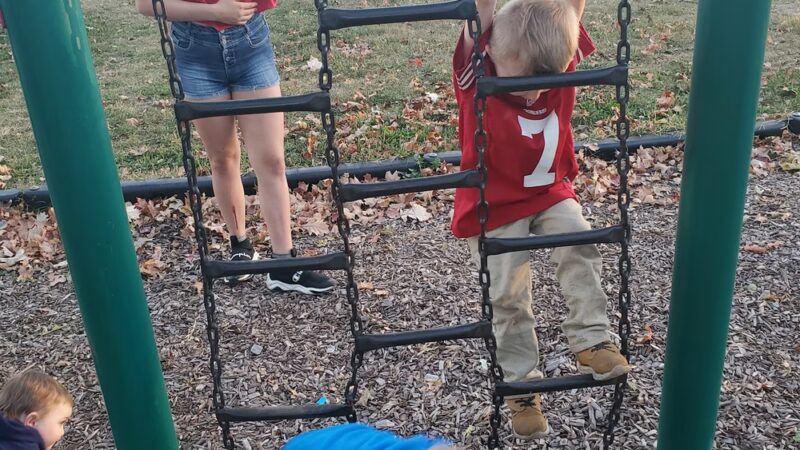 Thelma L. Pettiford Park - Du Quoin, IL