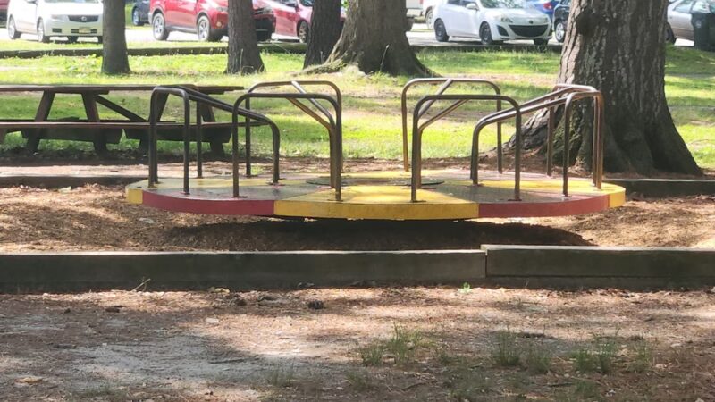 Mount Olive Park - Dudley, NC