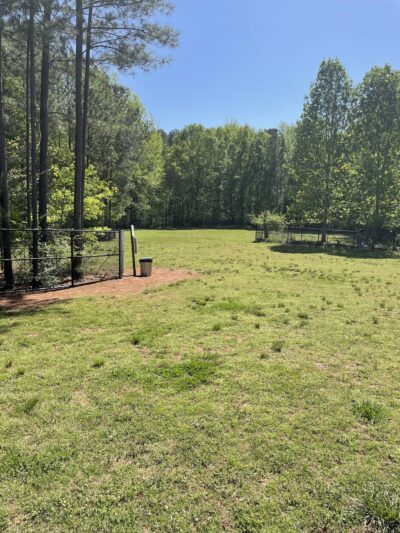 McDaniel Farm Dog Park and Playground - Duluth, GA