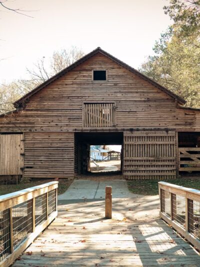McDaniel Farm Park - Duluth, GA