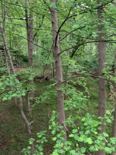 McDaniel Farm Park - Duluth, GA
