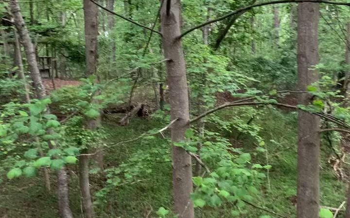 McDaniel Farm Park - Duluth, GA