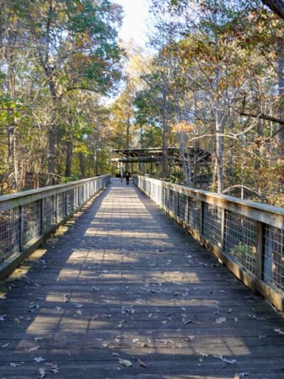 McDaniel Farm Park - Duluth, GA