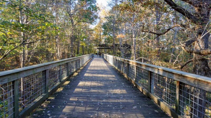 McDaniel Farm Park - Duluth, GA