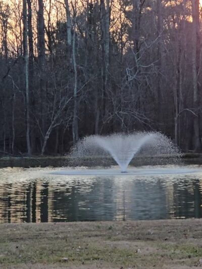 Rogers Bridge Park - Duluth, GA