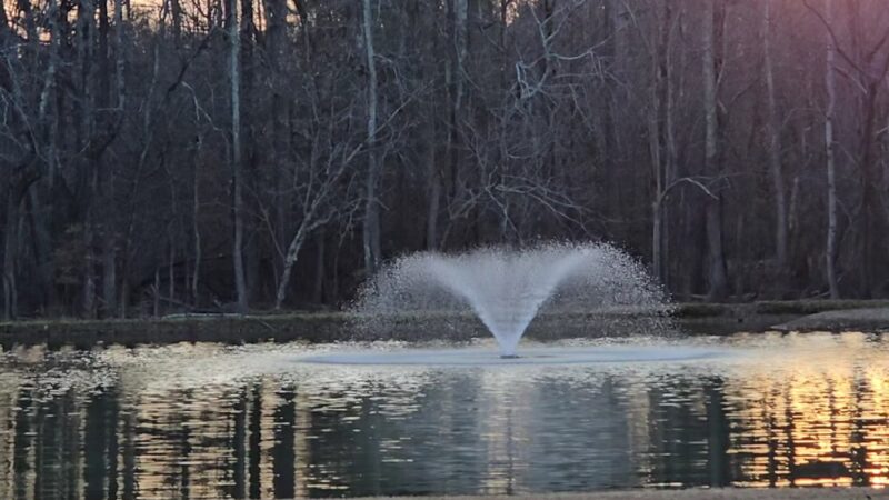 Rogers Bridge Park - Duluth, GA