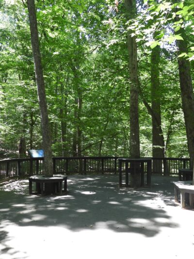 South Valley Trail - Dumfries, VA