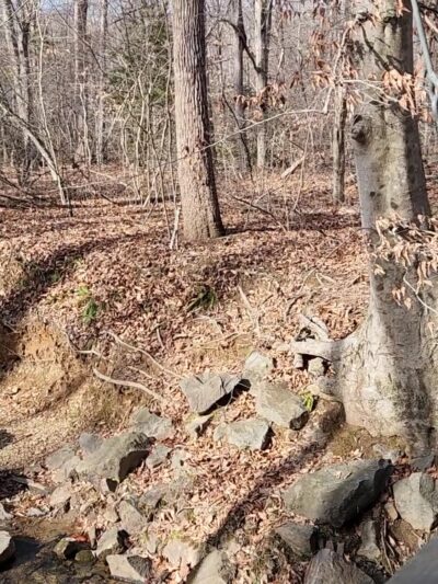 South Valley Trail - Dumfries, VA