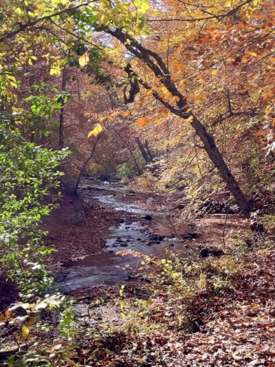 South Valley Trail - Dumfries, VA