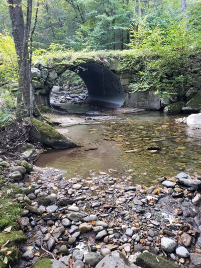 Old Jelly Mill Falls - Dummerston, VT