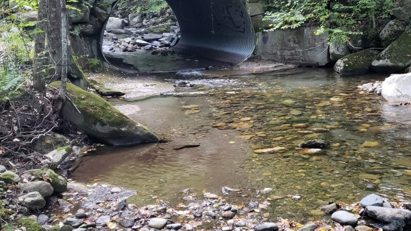 Old Jelly Mill Falls - Dummerston, VT