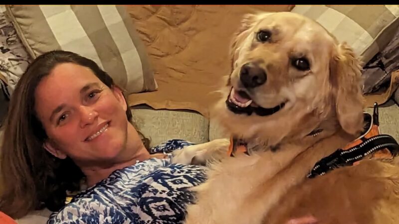 Dumont Dog Walkers - ,