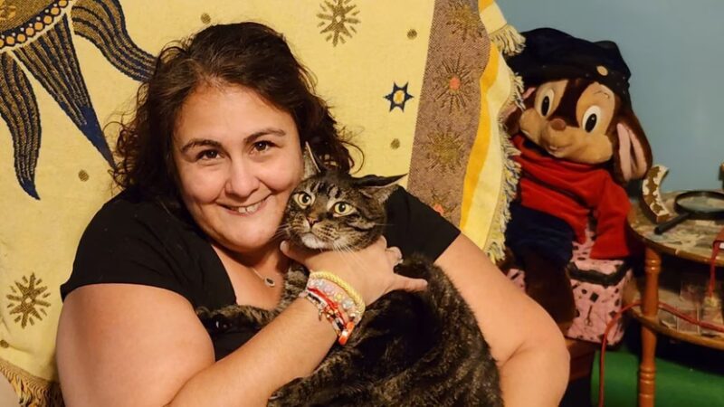 Dumont Dog Walkers - ,