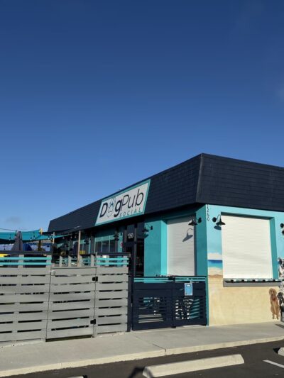 Dog Pub Social - Dunedin, FL