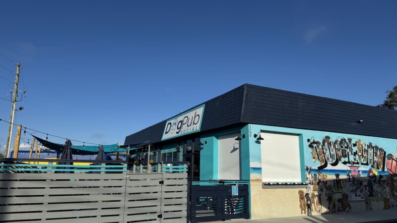 Dog Pub Social - Dunedin, FL