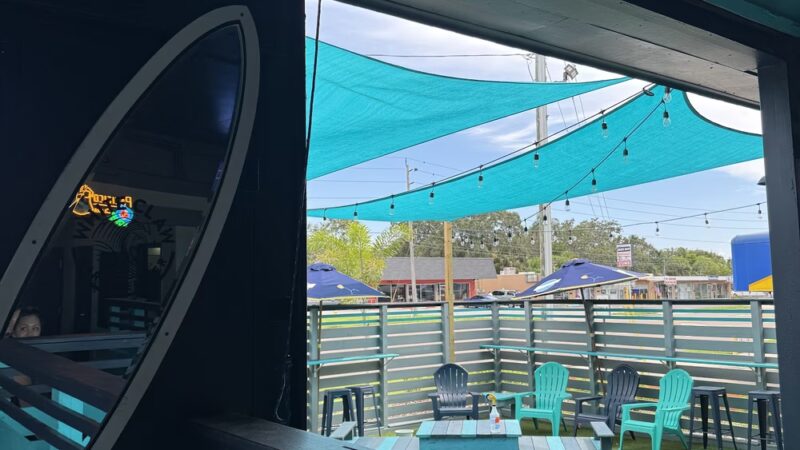 Dog Pub Social - Dunedin, FL