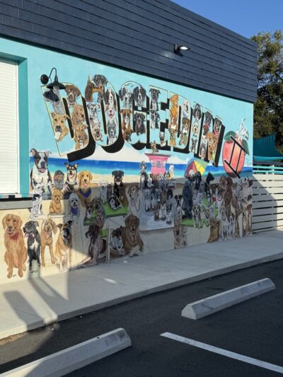 Dog Pub Social - Dunedin, FL