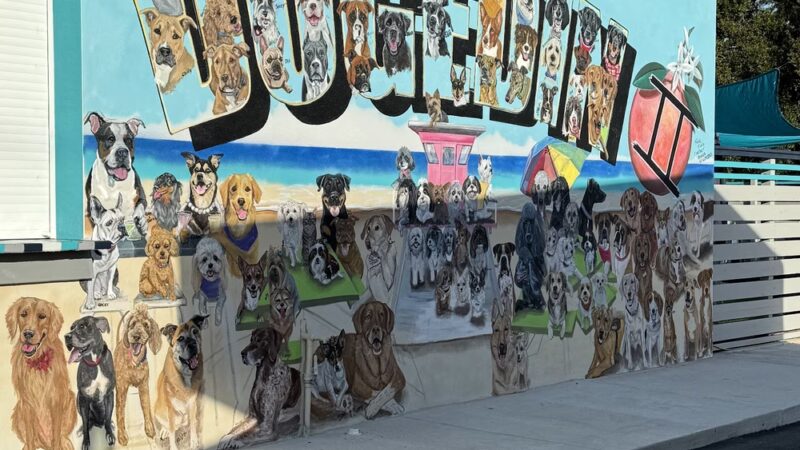 Dog Pub Social - Dunedin, FL