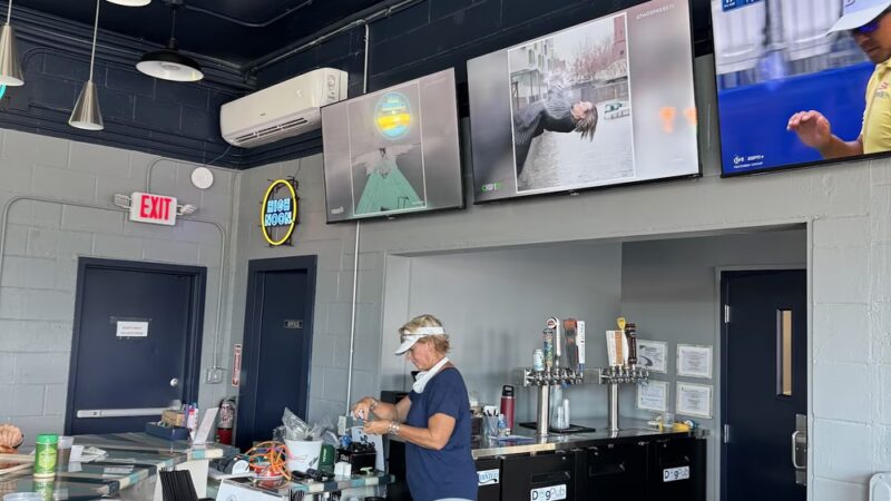 Dog Pub Social - Dunedin, FL