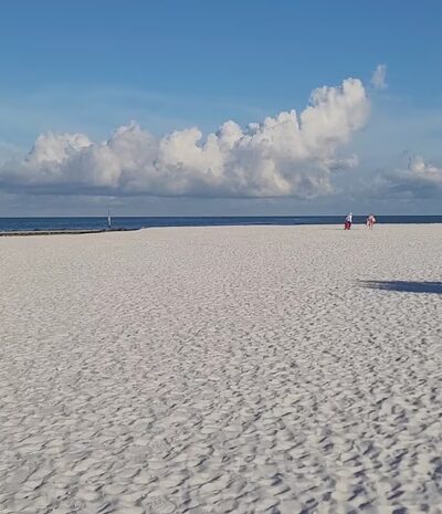 Honeymoon Island State Park Pet Beach - Dunedin, FL