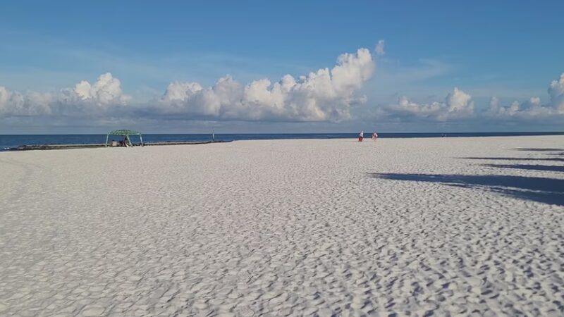 Honeymoon Island State Park Pet Beach - Dunedin, FL