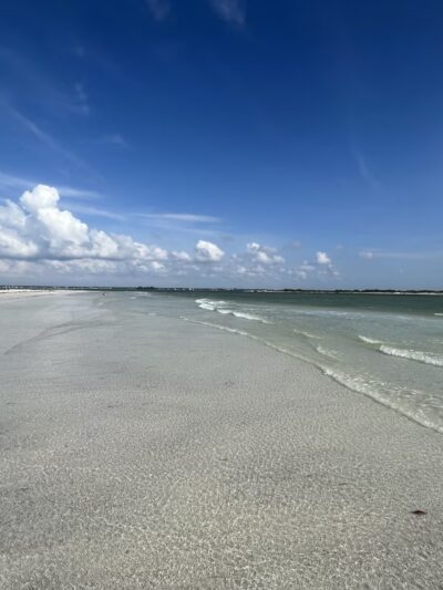 Honeymoon Island State Park Pet Beach - Dunedin, FL