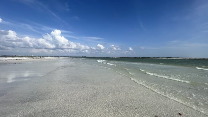 Honeymoon Island State Park Pet Beach - Dunedin, FL