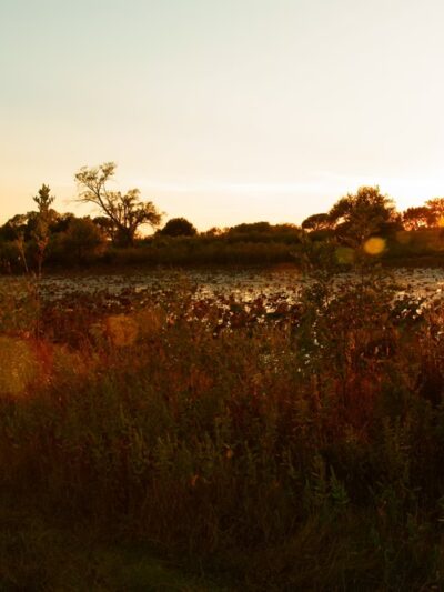 EcoPark - Durant, OK