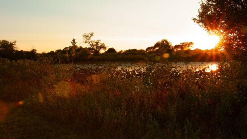EcoPark - Durant, OK