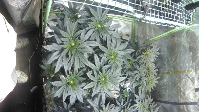 Keithley Park - Durant, OK