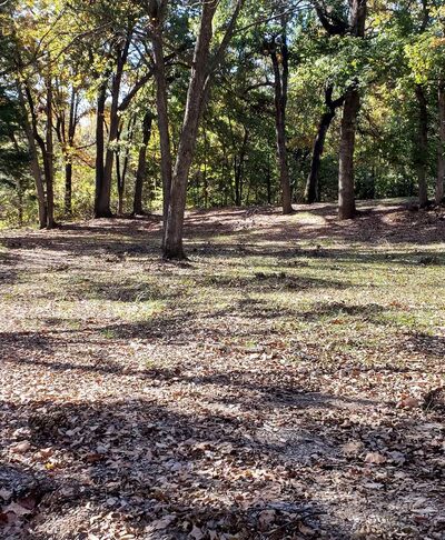 Skate park - Durant, OK