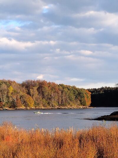Adams Point WMA - Durham, NH