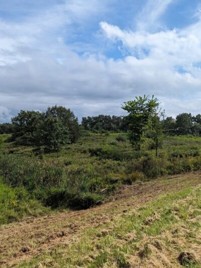 Adams Point WMA - Durham, NH