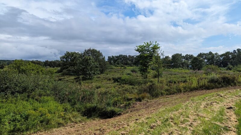 Adams Point WMA - Durham, NH