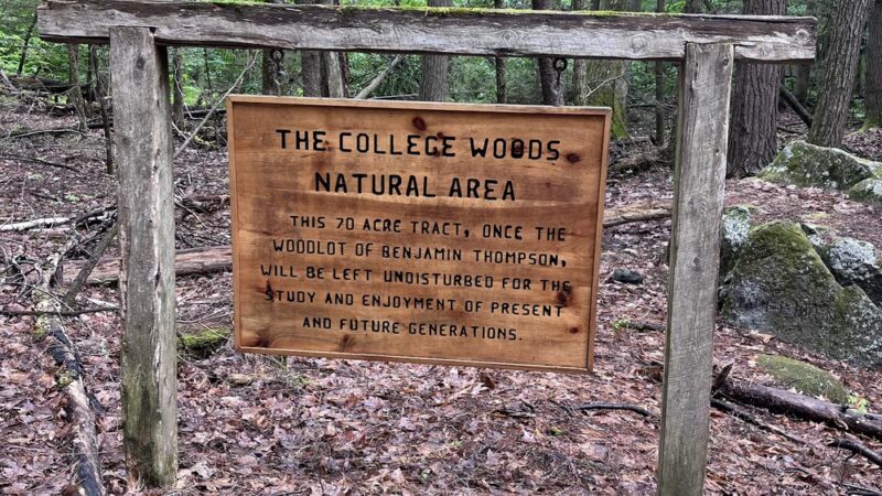 College Woods - Durham, NH